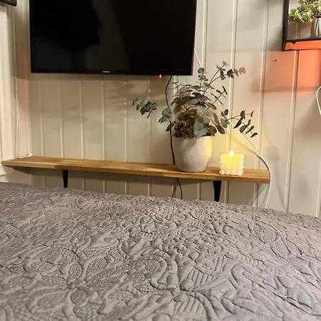 Large Family With Good Standards *