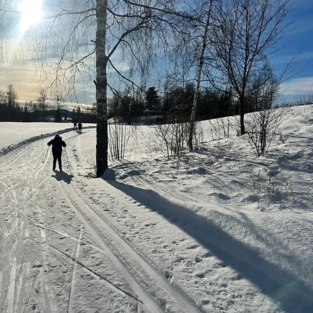 Large Family With Good Standards * Gjøvik